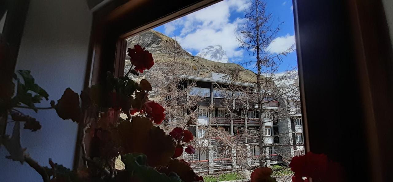 Matterhorn Studio Cervinia ブレウイル・チェルヴィナイア エクステリア 写真